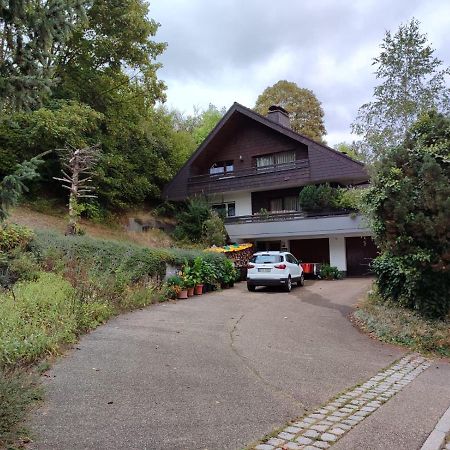 Feldbergsicht Apartment Lenzkirch Luaran gambar