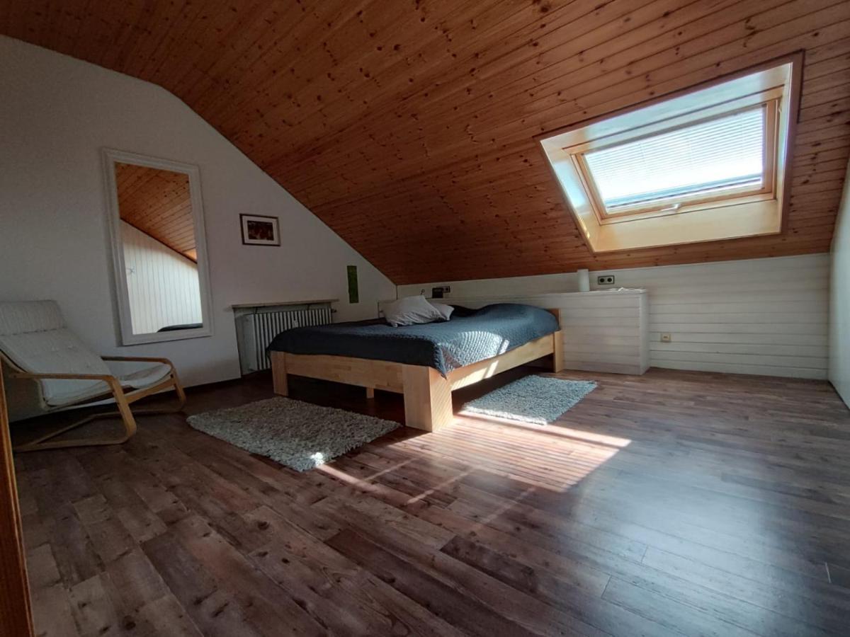 Feldbergsicht Apartment Lenzkirch Luaran gambar