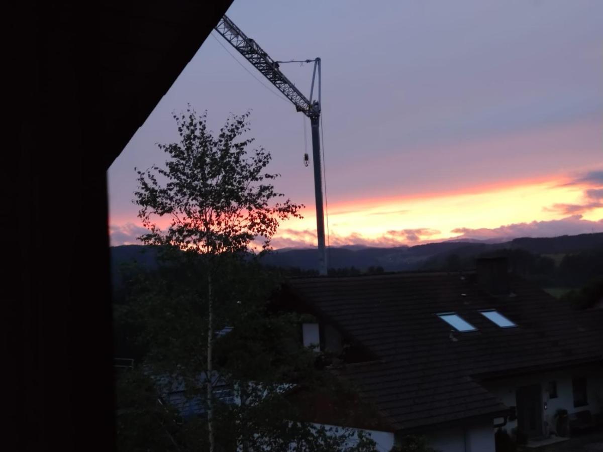 Feldbergsicht Apartment Lenzkirch Luaran gambar