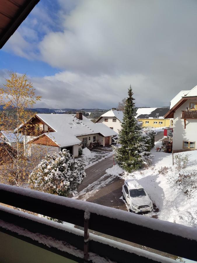 Feldbergsicht Apartment Lenzkirch Luaran gambar