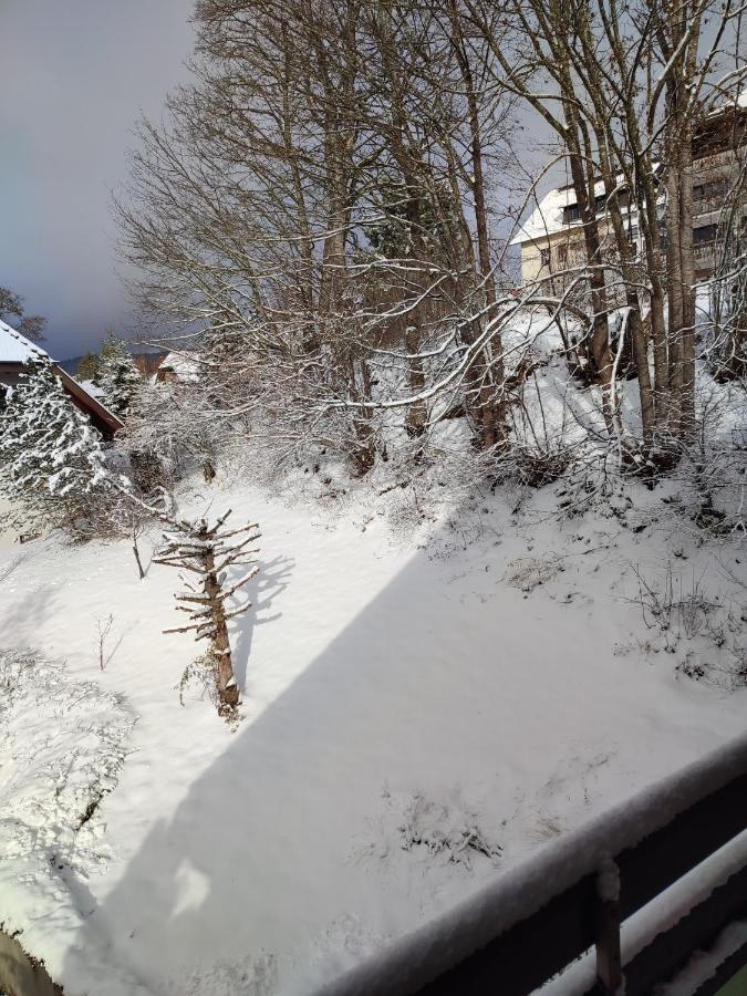Feldbergsicht Apartment Lenzkirch Luaran gambar