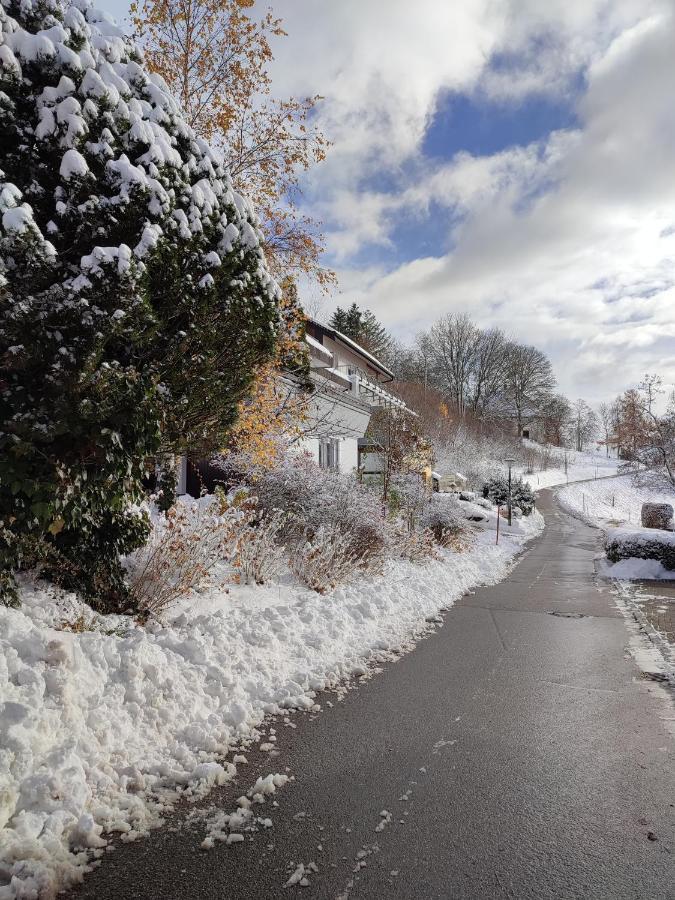 Feldbergsicht Apartment Lenzkirch Luaran gambar