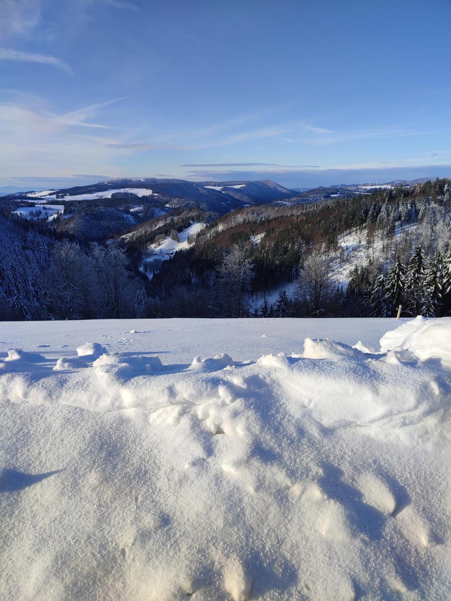 Feldbergsicht Apartment Lenzkirch Luaran gambar